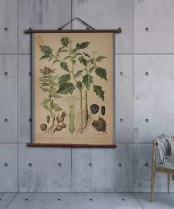 Scout Vintage Old-School Jimsonweed Botanical Science Poster