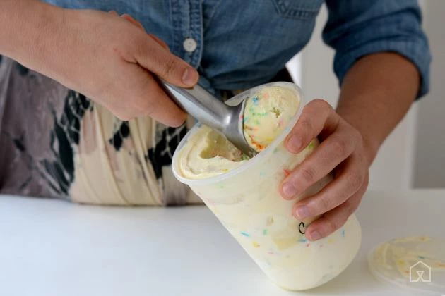 Scout Anti Freeze Ice Cream Scoop 4 Scout Anti Freeze Ice Cream Scoop