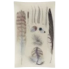John Derian Plumes Tray Gifts