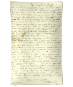 John Derian Central Park Essay Studio Tray Gifts