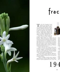 Scout House Perfume Legends II By Michael Edwards Gifts 5 Scout House Perfume Legends II By Michael Edwards Gifts