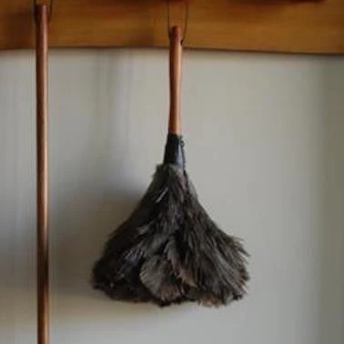 Redecker Homewares Medium Ostrich Feather Duster 50cm 5 Redecker Homewares Medium Ostrich Feather Duster 50cm