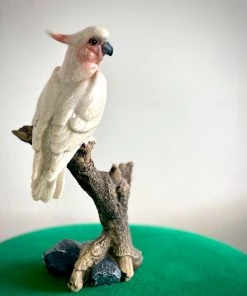 Scout House Major Mitchell Pink Cockatoo On Log