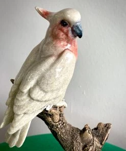 Scout House Major Mitchell Pink Cockatoo On Log