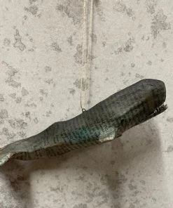 Scout Grey Whale Papier Mâché Hanging Decoration Gifts Under $50