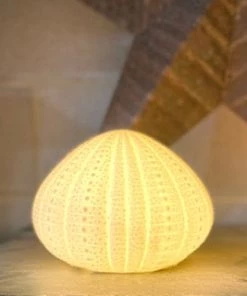 Scout Homewares Bone China Sea Urchin Lamp 7 Scout Homewares Bone China Sea Urchin Lamp