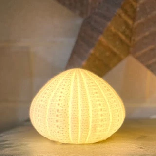 Scout Homewares Bone China Sea Urchin Lamp 5 Scout Homewares Bone China Sea Urchin Lamp