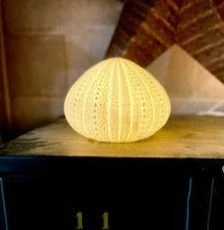 Scout Homewares Bone China Sea Urchin Lamp