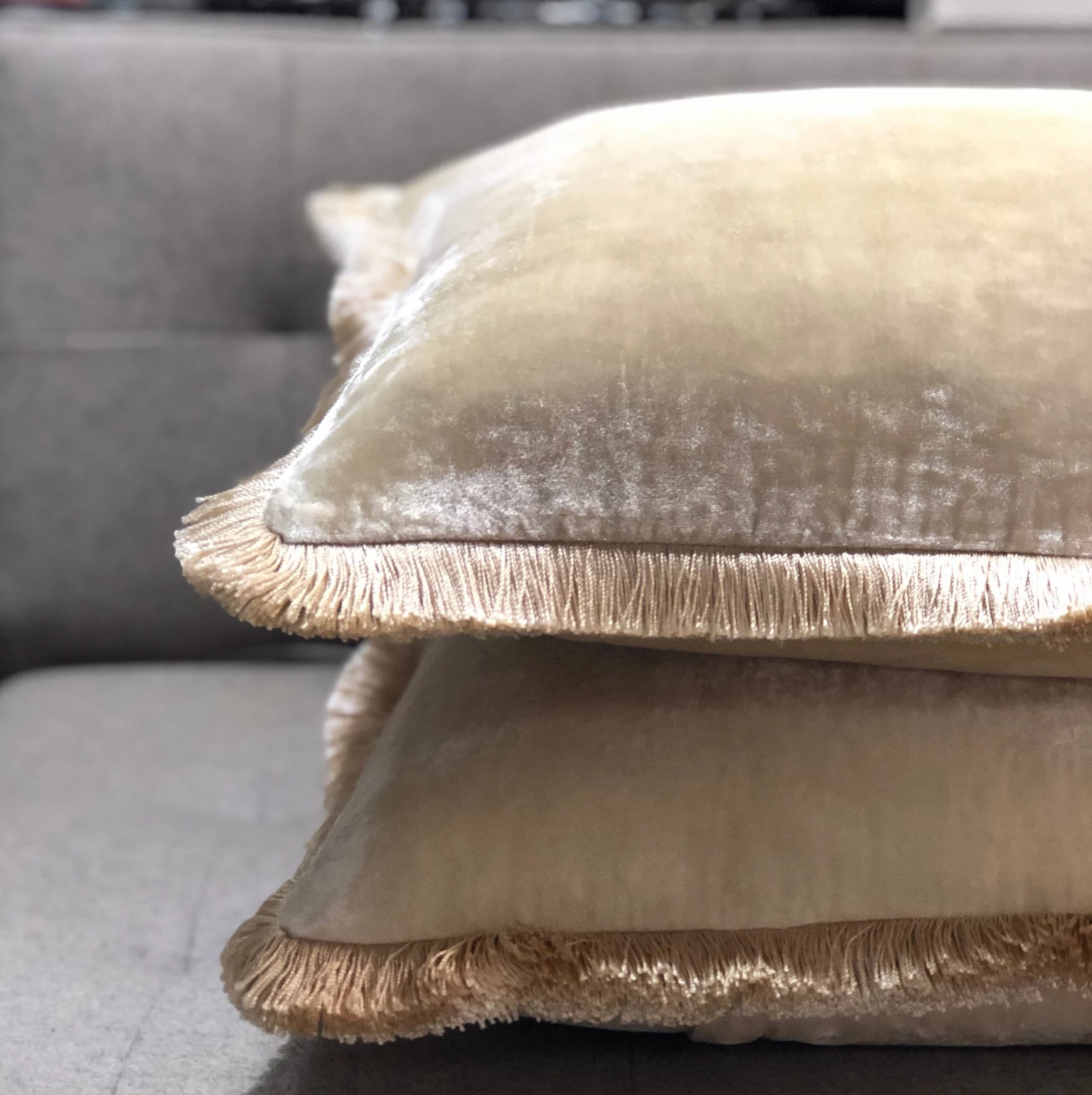 Scout House Gifts Luxury Silk Velvet Cushion Ivory With Cream Fringe- 55cm Square 3 Scout House Gifts Luxury Silk Velvet Cushion Ivory With Cream Fringe- 55cm Square
