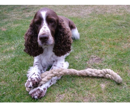 Chatham Rope Yard Dog Pull Rope Toy Made In Historic Chatham Boatyard 4 Chatham Rope Yard Dog Pull Rope Toy Made In Historic Chatham Boatyard