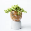 Scout House Gifts Beverly Pot - White