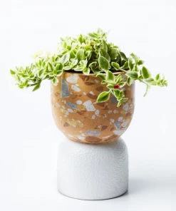 Scout House Gifts Beverly Pot - White