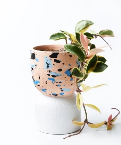 Scout House Beverly Pot - Pink Gifts