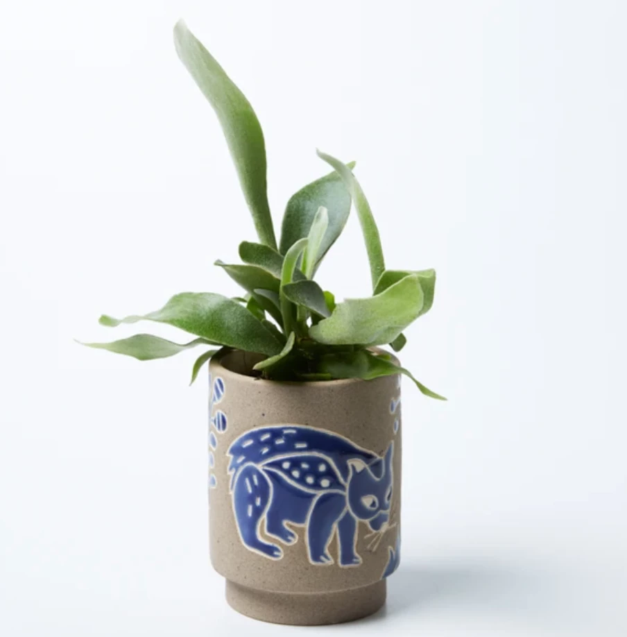 Scout House Wombat Planter Gifts 3 Scout House Wombat Planter Gifts