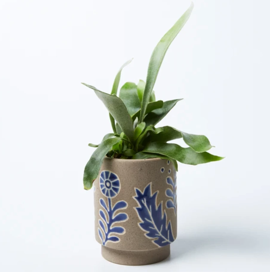 Scout House Wombat Planter Gifts 4 Scout House Wombat Planter Gifts