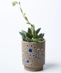 Scout House Galah Planter