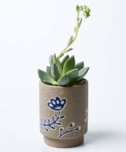 Scout House Galah Planter