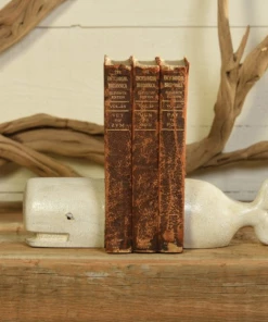 Scout Homewares Cast Iron Whale Bookends In White