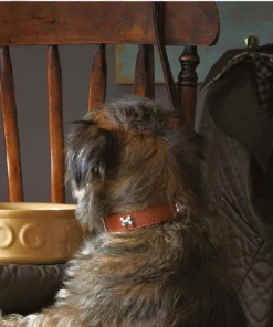 Gifts MEDIUM Dog Bowl Cornishware By Mason Cash 7 Gifts MEDIUM Dog Bowl Cornishware By Mason Cash