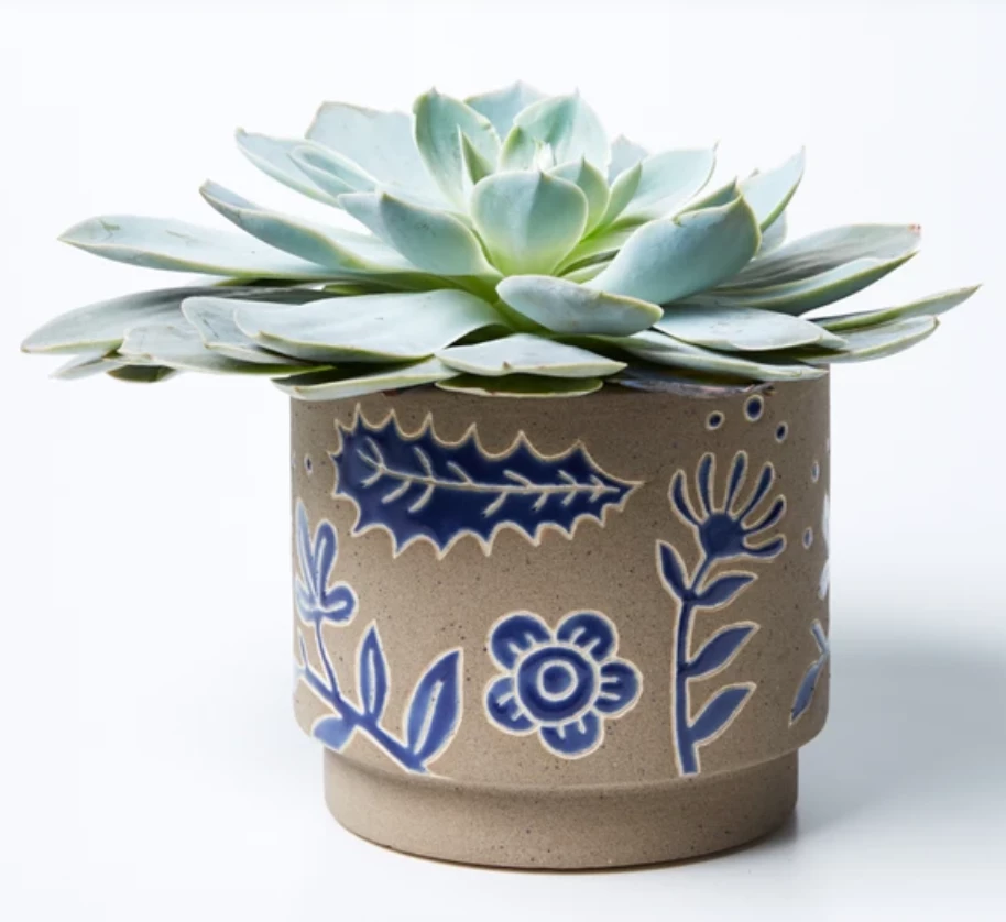 Scout House Homewares Koala Planter 4 Scout House Homewares Koala Planter