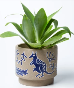 Scout House Kangaroo Planter Gifts