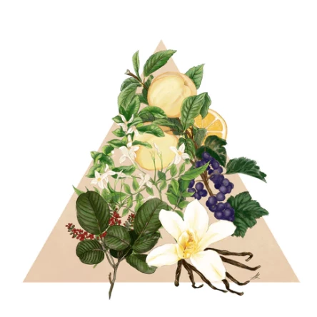 Santa Maria Novella - Angels Of Florence - 1221 Edition 4 Santa Maria Novella - Angels Of Florence - 1221 Edition