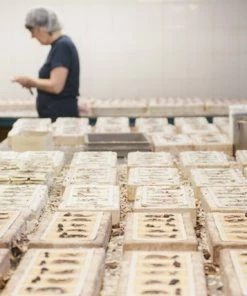 Santa Maria Novella Fresia Scented Wax Tablets 7 Santa Maria Novella Fresia Scented Wax Tablets