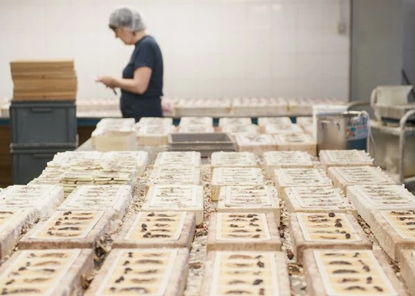 Santa Maria Novella Fresia Scented Wax Tablets 5 Santa Maria Novella Fresia Scented Wax Tablets