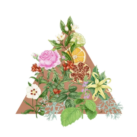 Gifts Santa Maria Novella - Melograno - 1221 Edition 4 Gifts Santa Maria Novella - Melograno - 1221 Edition