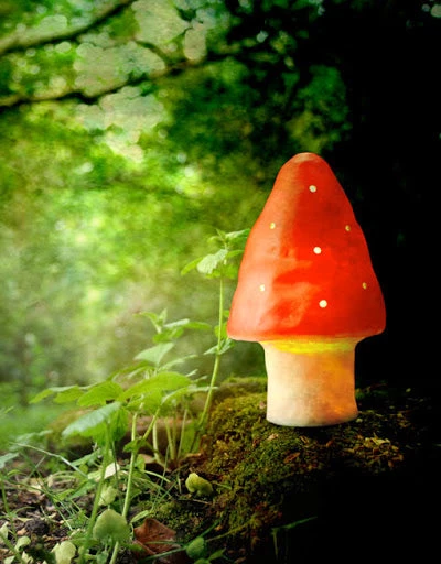 Homewares Toadstool Small Night Light By Heico 4 Homewares Toadstool Small Night Light By Heico
